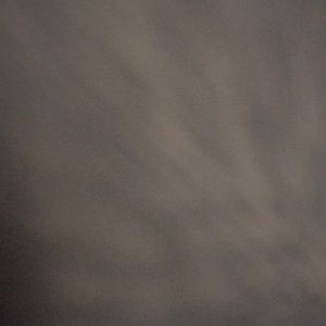 Meet your Posher, Jacey